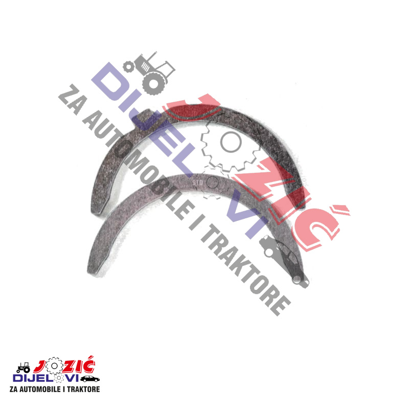 Daisy on the Ohoopee